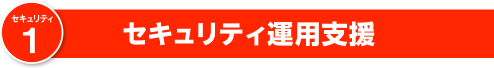 セキュリティ運用支援