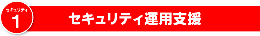 セキュリティ運用支援