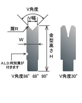 AFHダイ