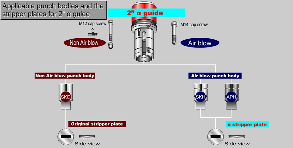 Cst α (Alpha) guide